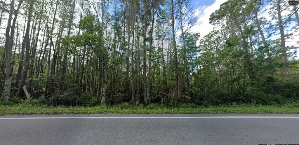 Deen Still Road Polk City FL 33868