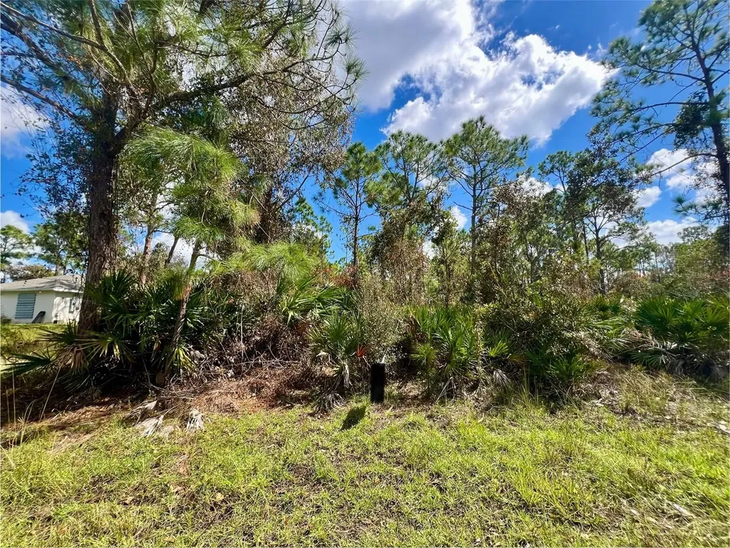 12334 Hindle Avenue Punta Gorda FL 33955