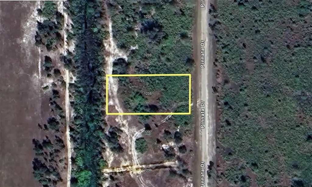 1235 Pinnata Drive Indian Lake Estates FL 33855