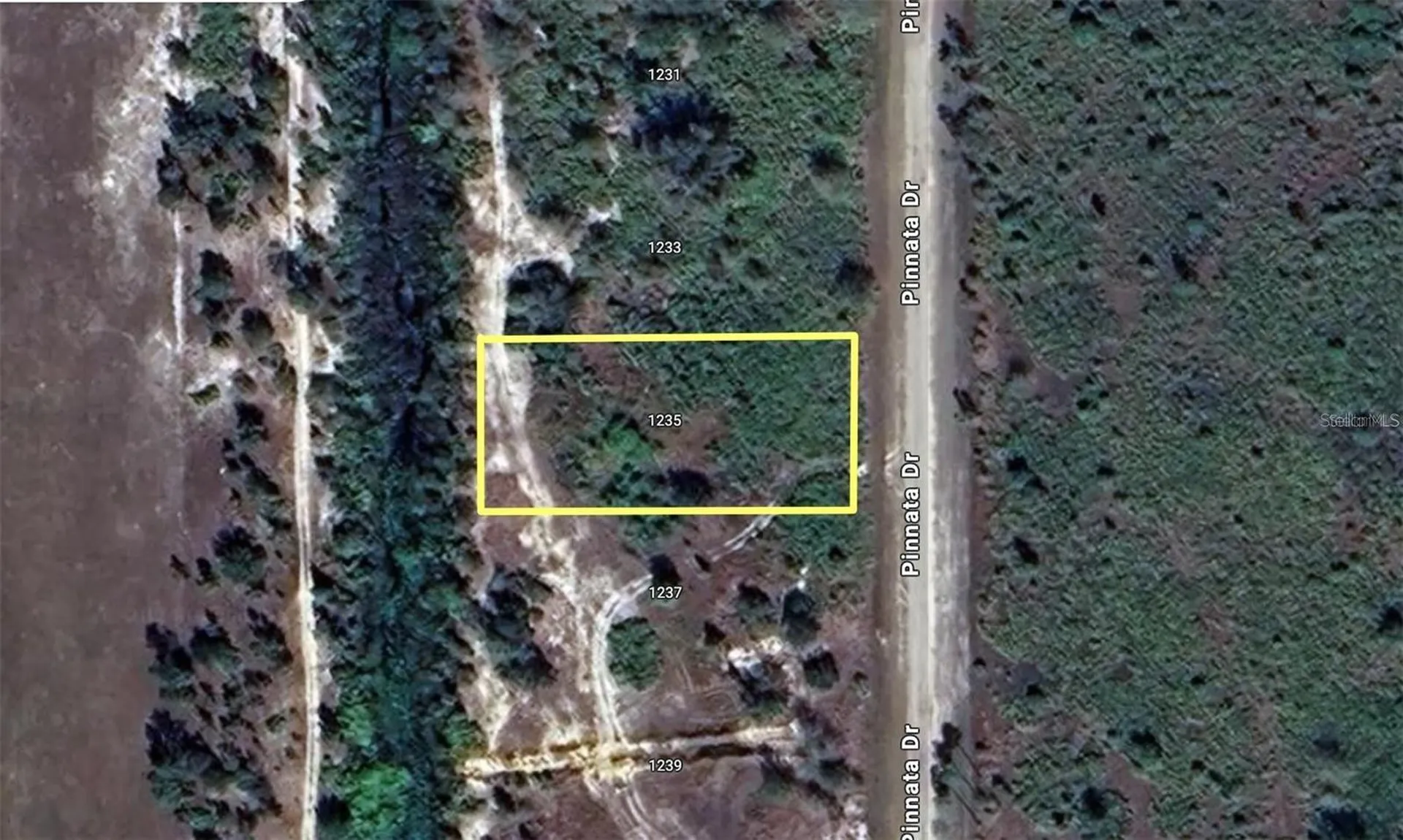 1235 Pinnata Drive Indian Lake Estates FL 33855
