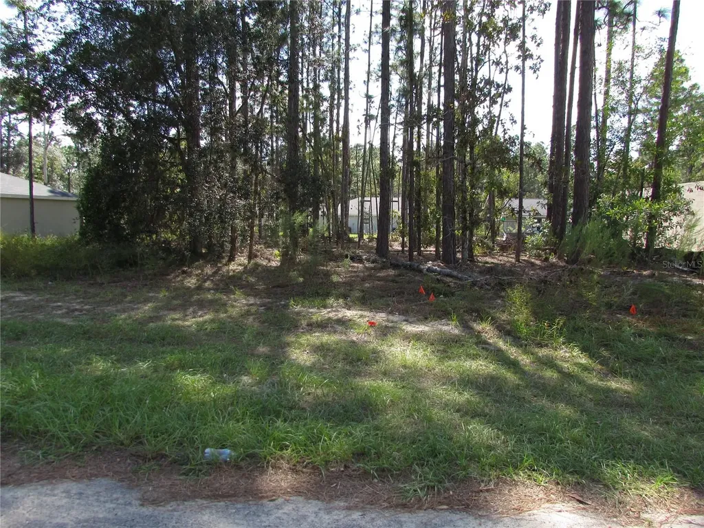 9250 N Travis Drive Citrus Springs FL 34434