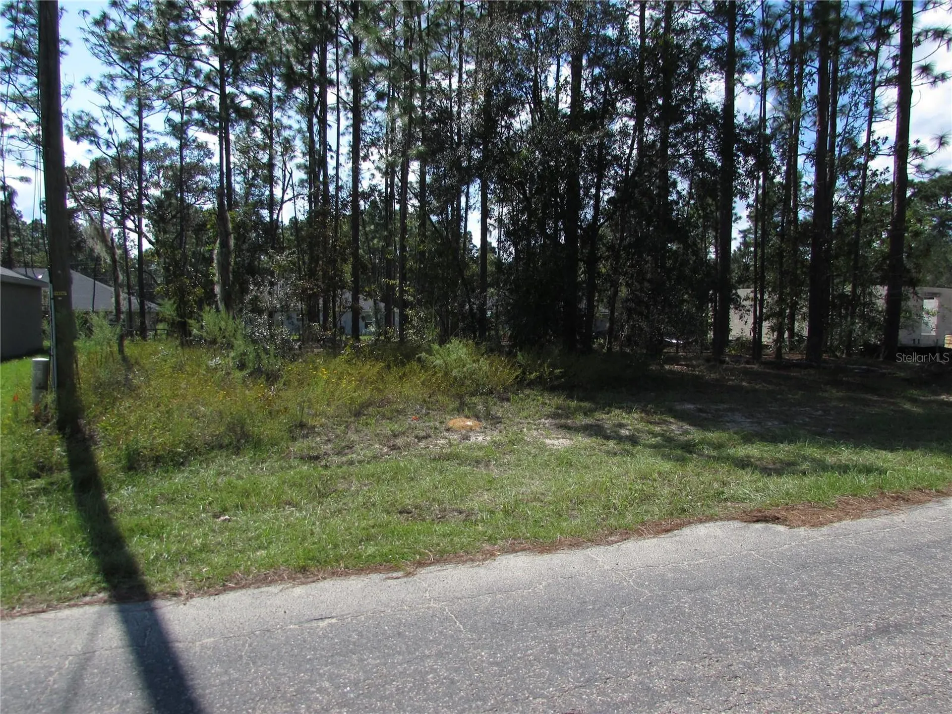 9250 N Travis Drive Citrus Springs FL 34434