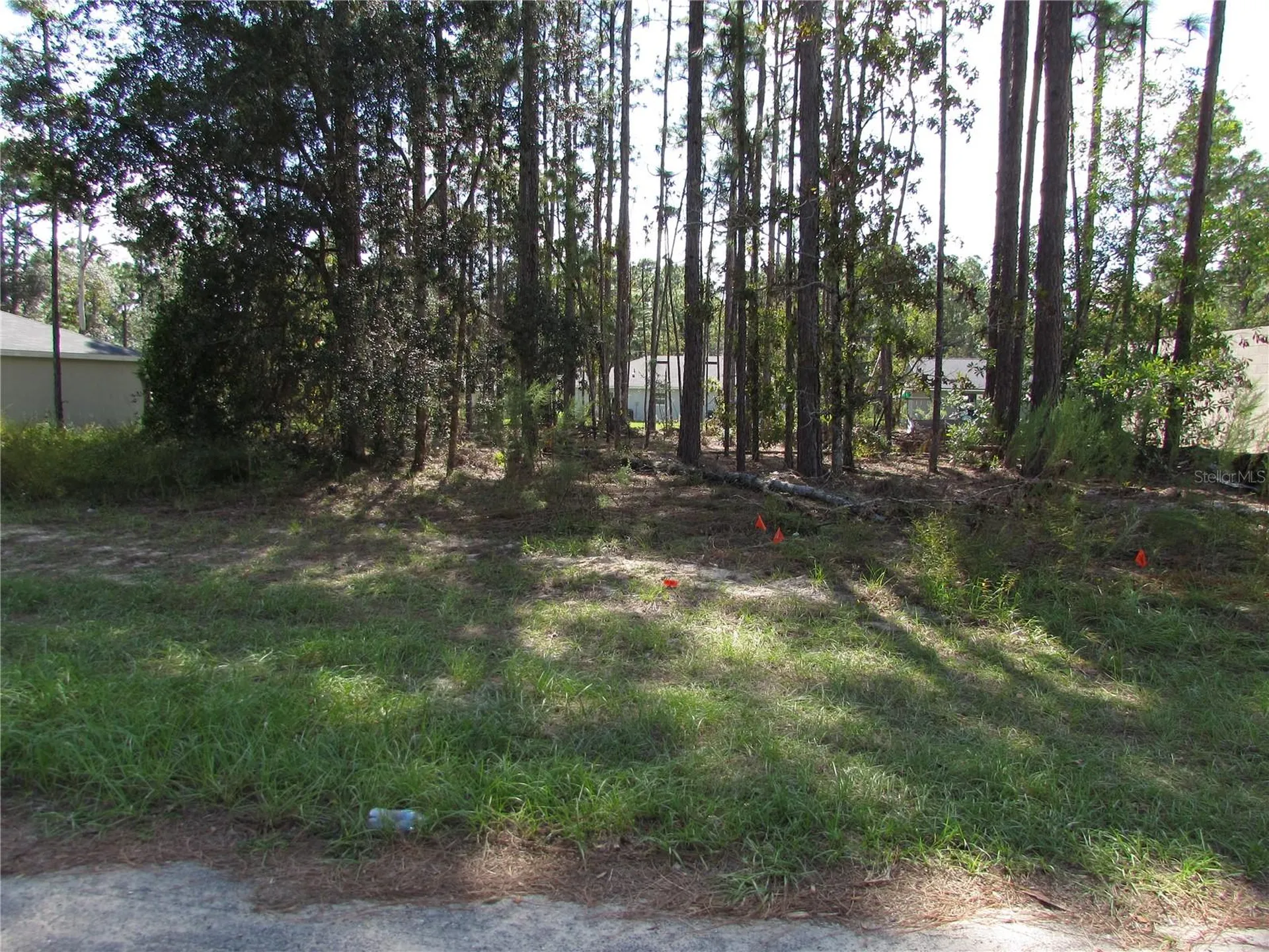 9250 N Travis Drive Citrus Springs FL 34434
