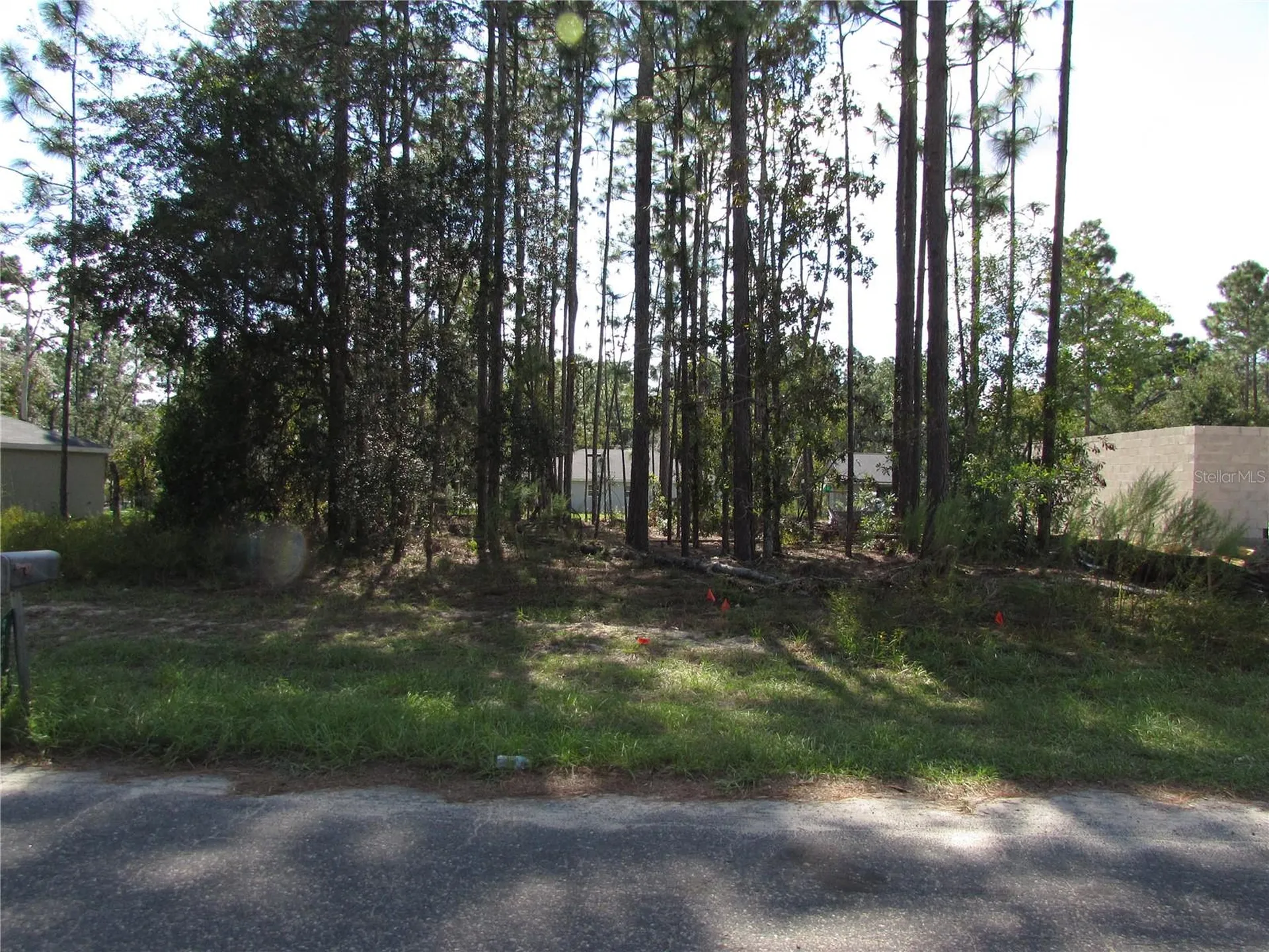 9250 N Travis Drive Citrus Springs FL 34434