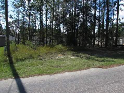 9250 N Travis Drive Citrus Springs FL 34434