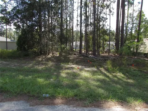 9250 N Travis Drive Citrus Springs FL 34434