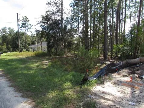 9250 N Travis Drive Citrus Springs FL 34434