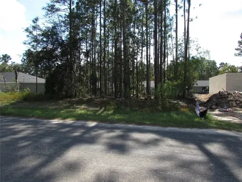 9250 N Travis Drive Citrus Springs FL 34434