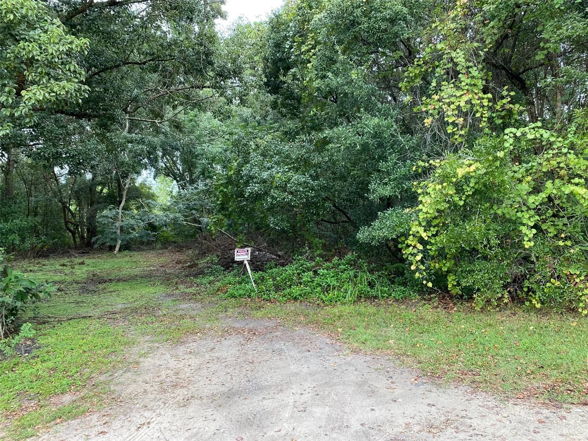 N Wardell Street Mount Dora FL 32757