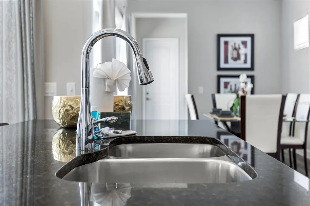 1407 Fairview Circle Reunion FL 34747