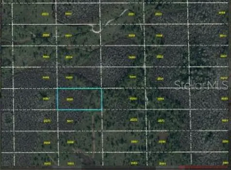 Dill Road Orlando FL 32820