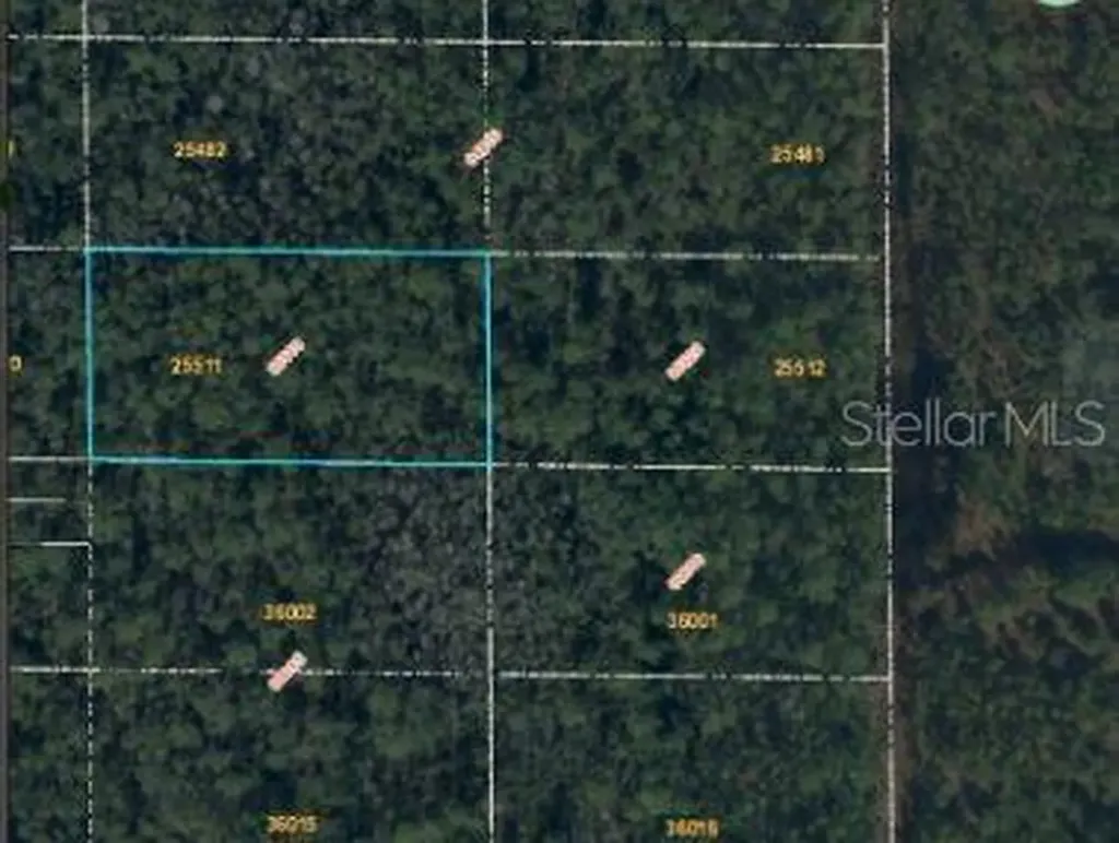 Dill Road Orlando FL 32820