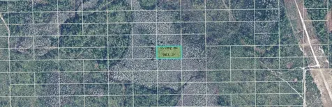 Dill Road Orlando FL 32820