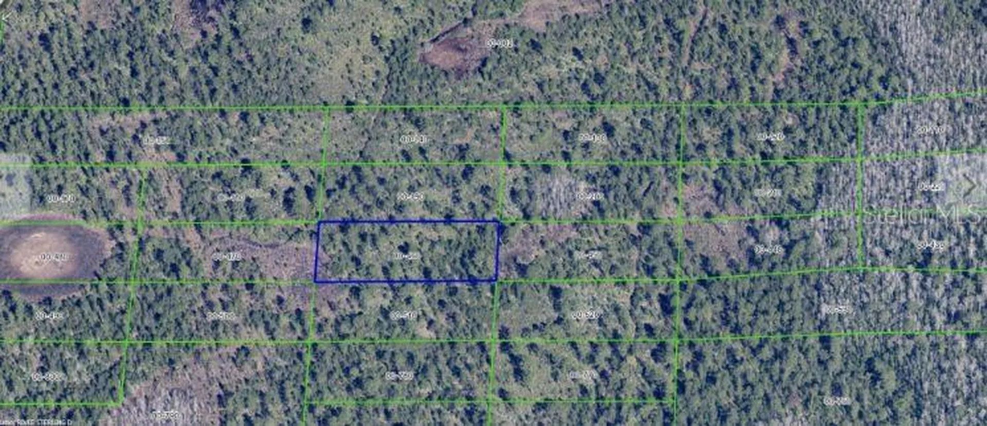 Dill Road Orlando FL 32820