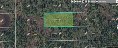 Dill Road Orlando FL 32820