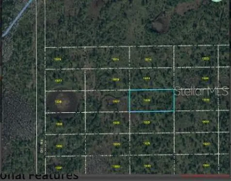 Dill Road Orlando FL 32820
