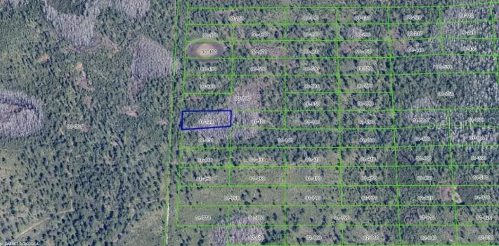 2307 Dill Road Orlando FL 32820
