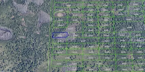 2307 Dill Road Orlando FL 32820