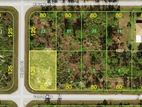 12132 Conroy Avenue Port Charlotte FL 33981