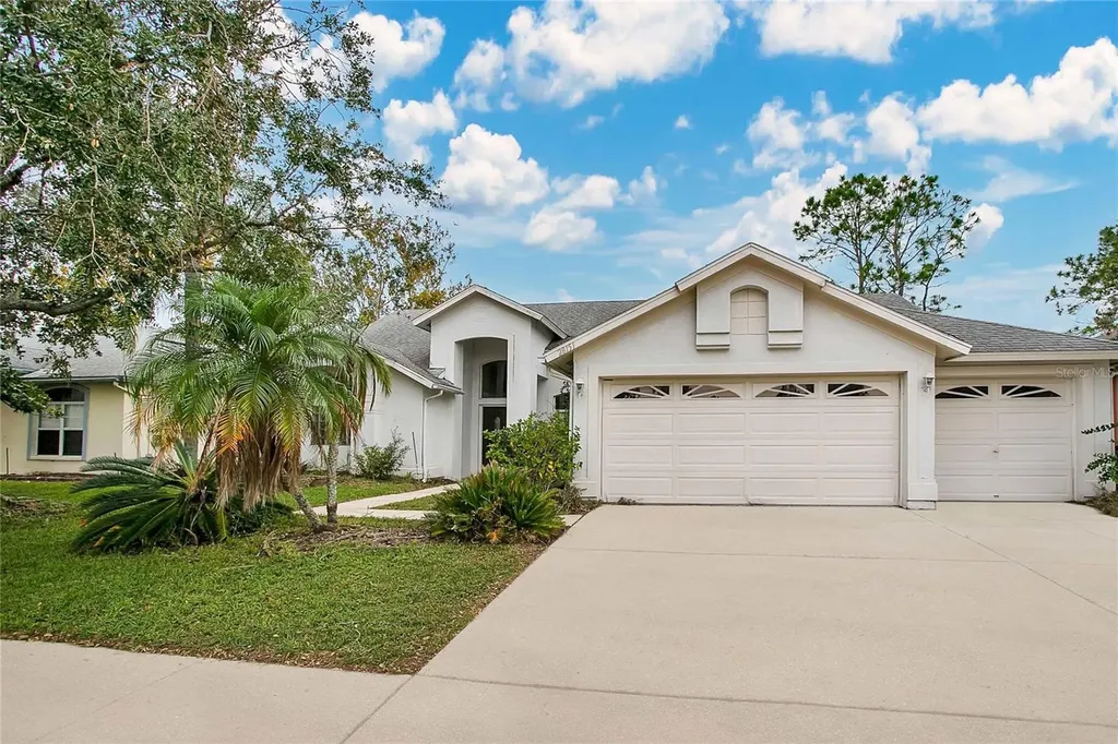 28151 Brokenmead Path Wesley Chapel FL 33543