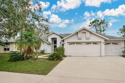 28151 Brokenmead Path Wesley Chapel FL 33543