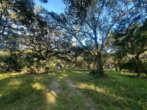 9805 SE 182nd Avenue Road Ocklawaha FL 32179