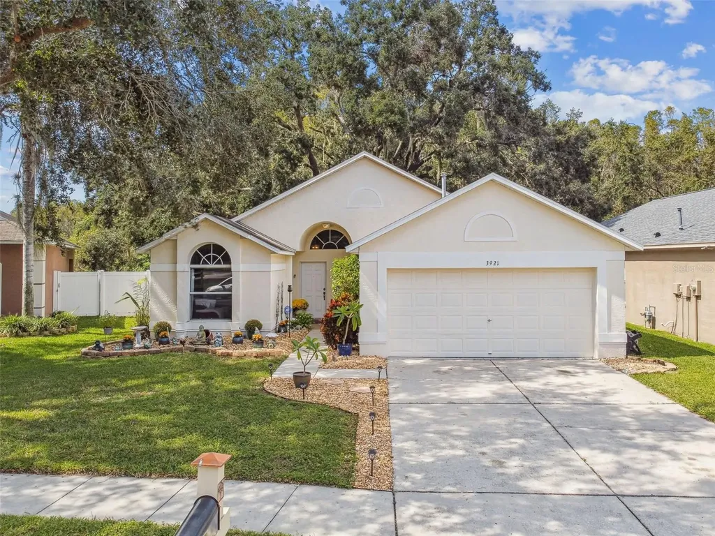 3921 Briley Loop Land O Lakes FL 34638