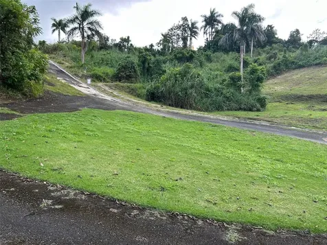 Carr 160 Solar 8 Bo. Almirante Sur Vega Baja PR 00693