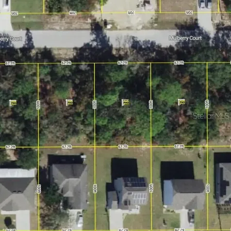 410 Mulberry Court Poinciana FL 34759