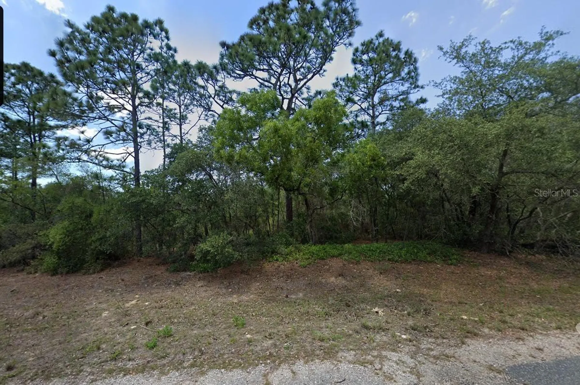8864 N Barbados Way Citrus Springs FL 34433