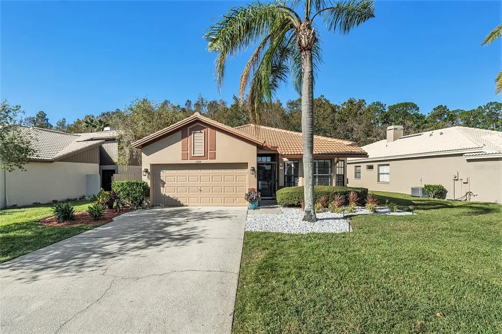 3698 Darston Street Palm Harbor FL 34685