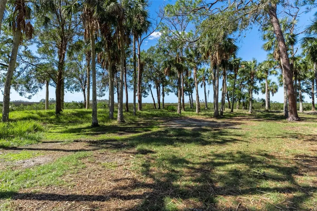 8812 Camp Lane Hudson FL 34667