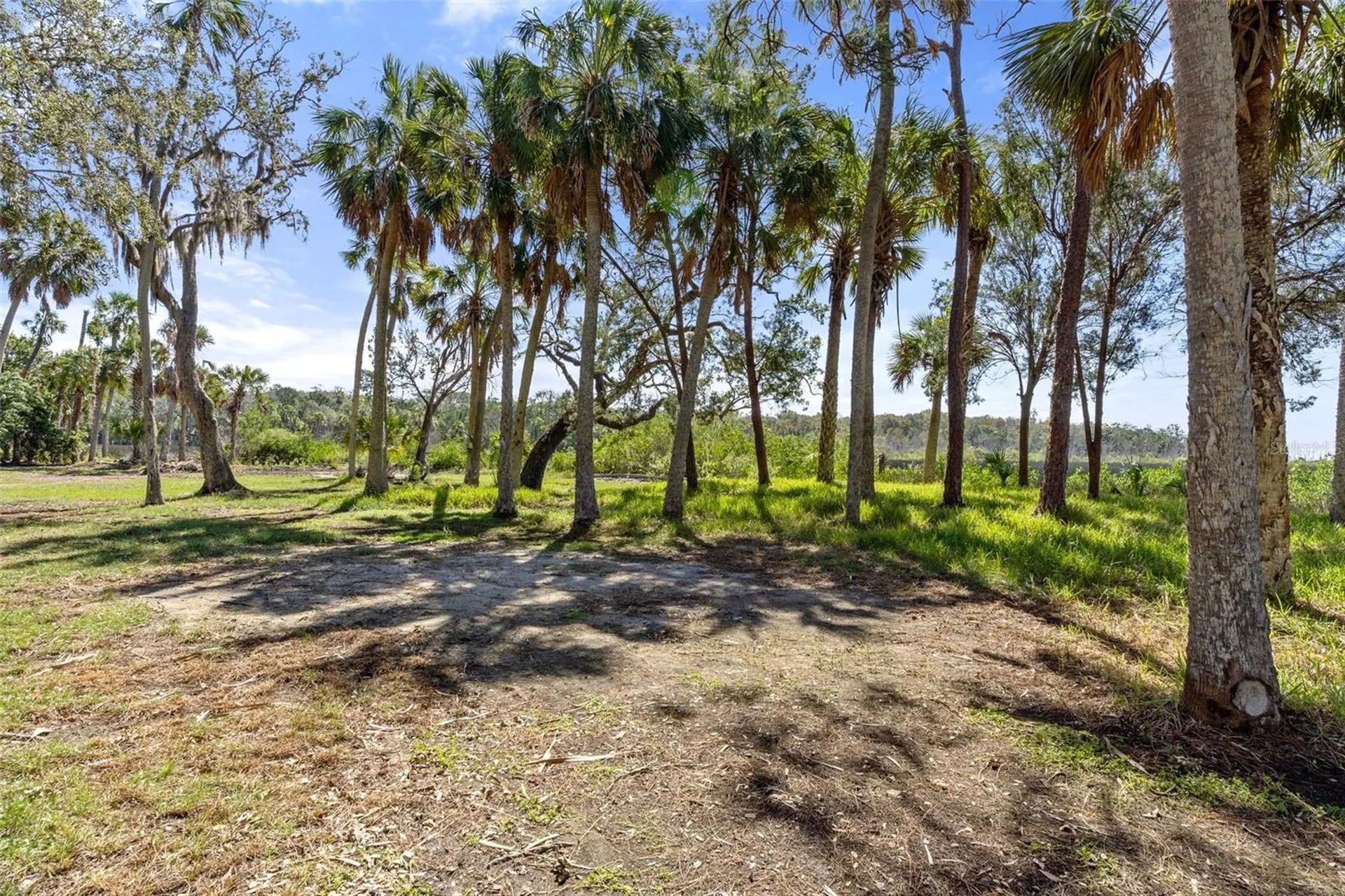 8812 Camp Lane Hudson FL 34667