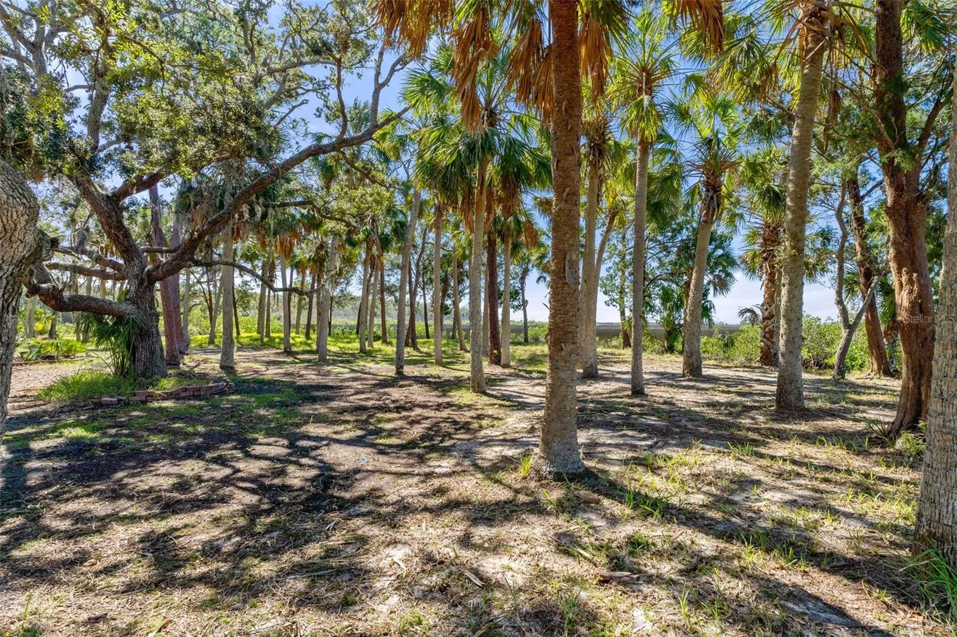8812 Camp Lane Hudson FL 34667
