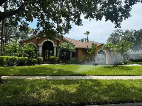 19142 Timber Reach Road Tampa FL 33647