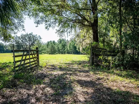 12146 E Highway 318 Fort Mc Coy FL 32134