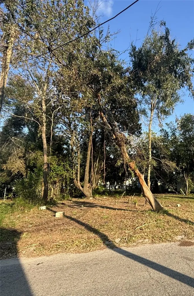 14530 6th Street Dade City FL 33523