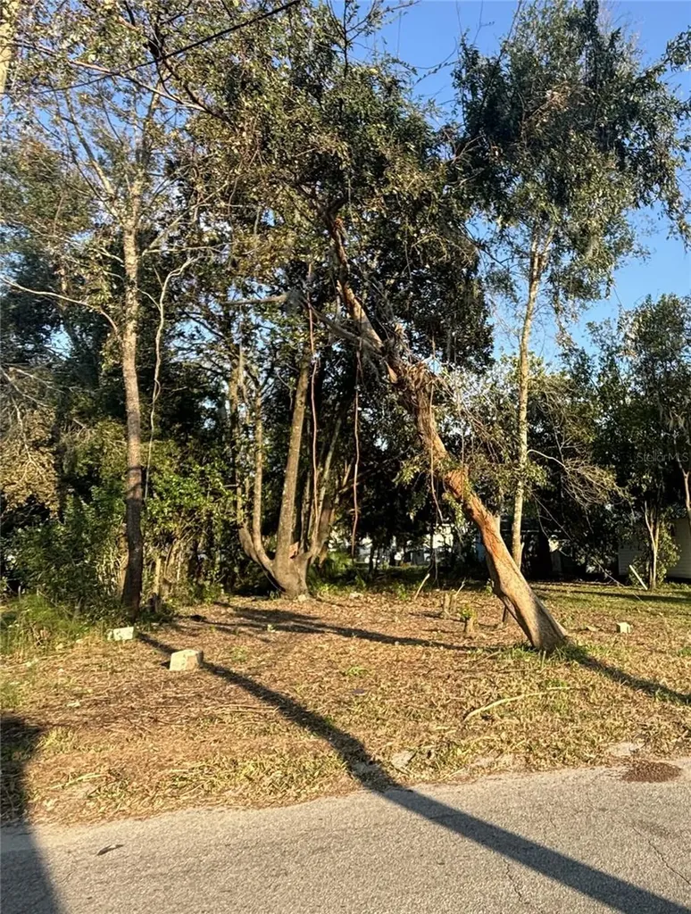 14530 6th Street Dade City FL 33523