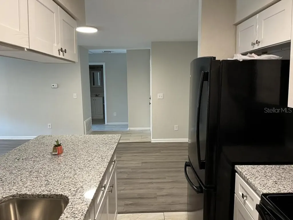 624 Golden Raintree Place Brandon FL 33510
