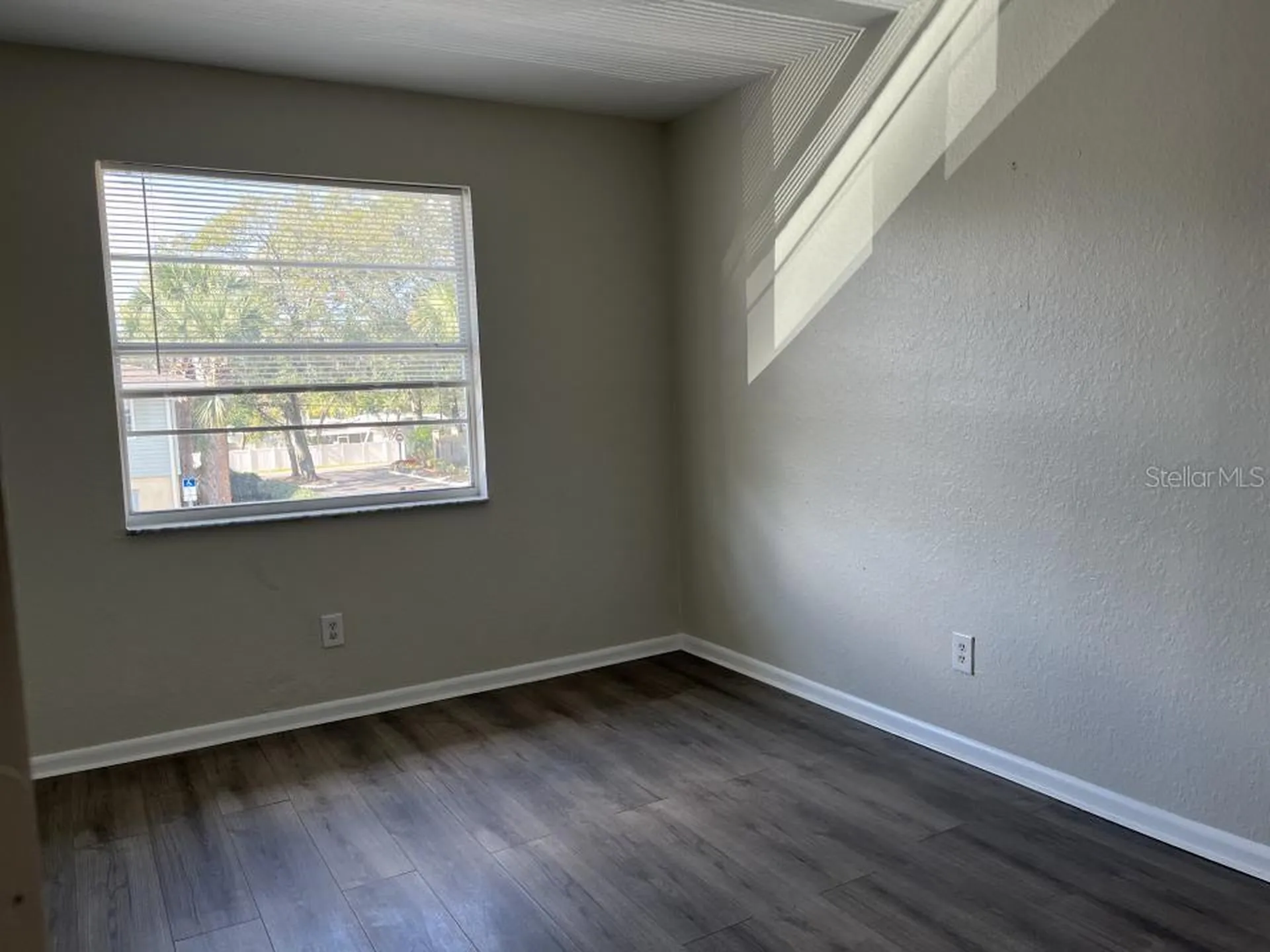 624 Golden Raintree Place Brandon FL 33510