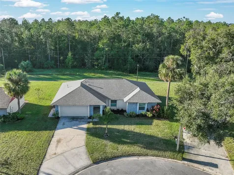 950 Amy Ridge Court Kissimmee FL 34747