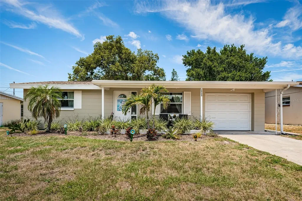 1725 Dander Drive Holiday FL 34690