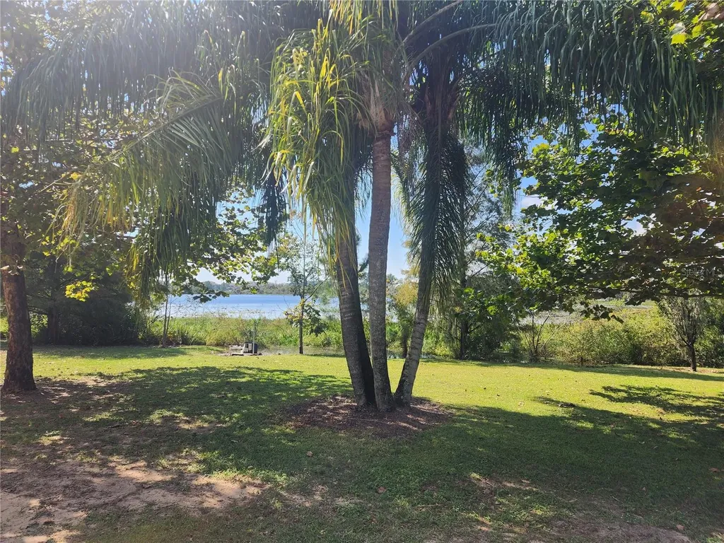 14902 Arrena Road Winter Garden FL 34787