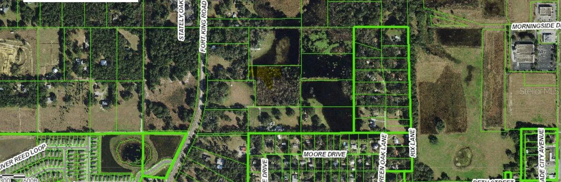 Moore Drive Dade City FL 33525