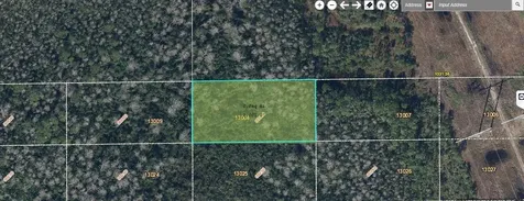 Dill Road Orlando FL 32820