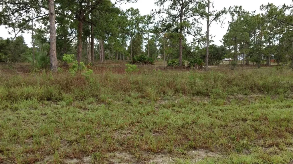 4006 E 5th Street Lehigh Acres FL 33972