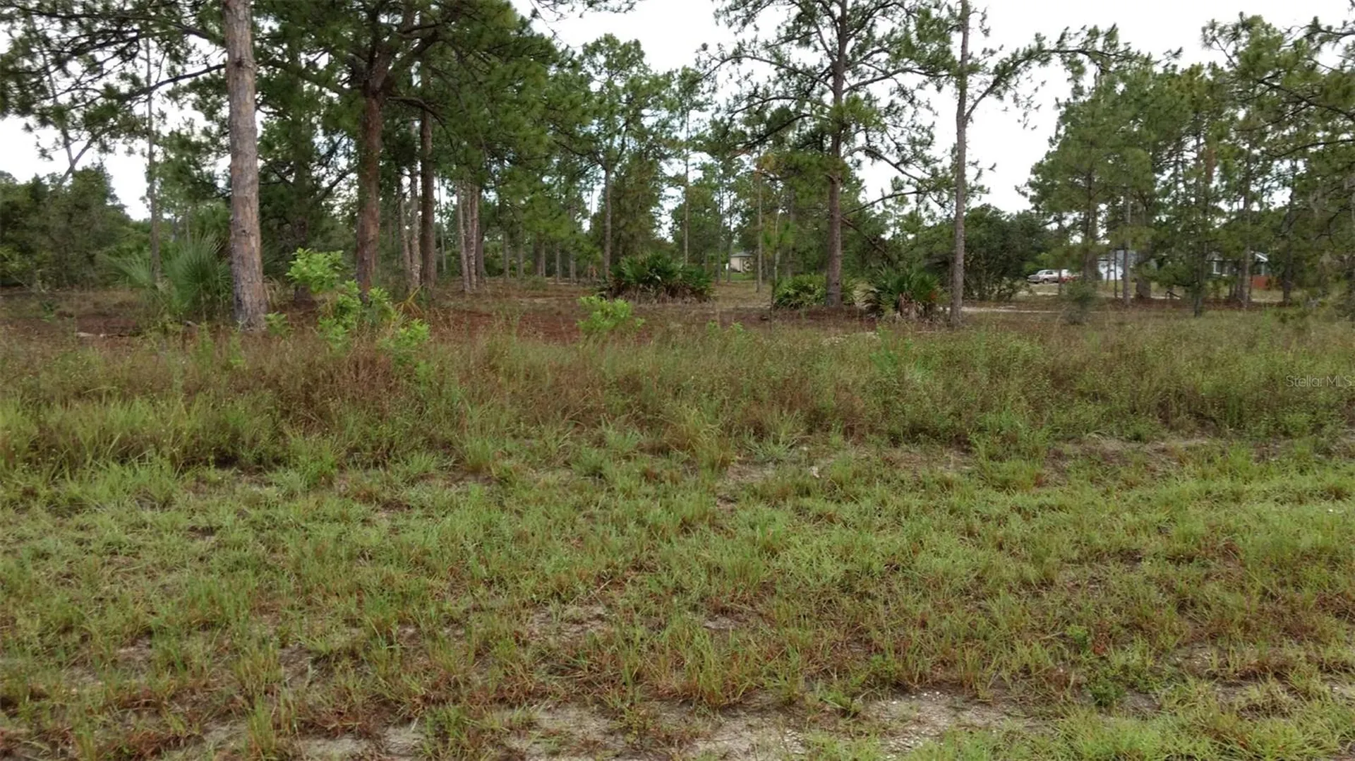 4006 E 5th Street Lehigh Acres FL 33972