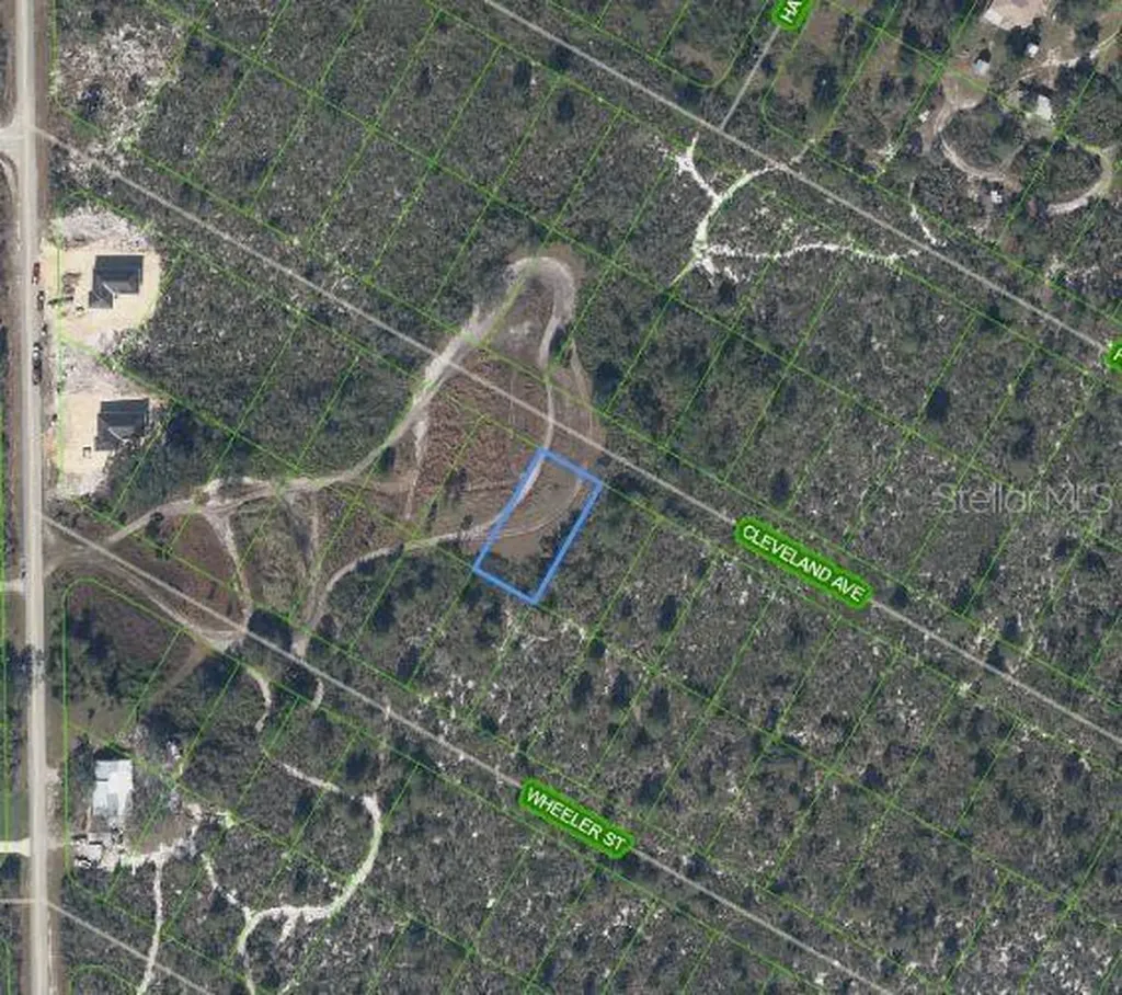 1033 Cleveland Avenue Lake Placid FL 33852