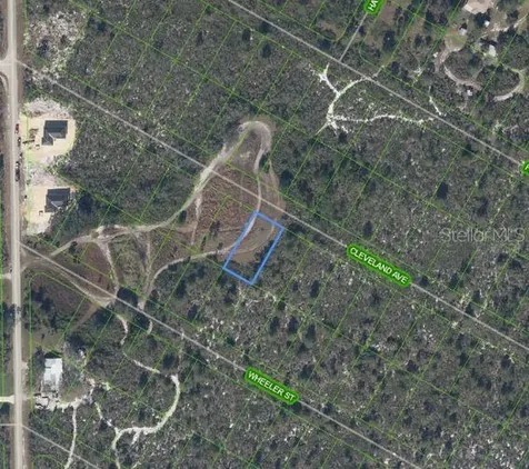 1033 Cleveland Avenue Lake Placid FL 33852
