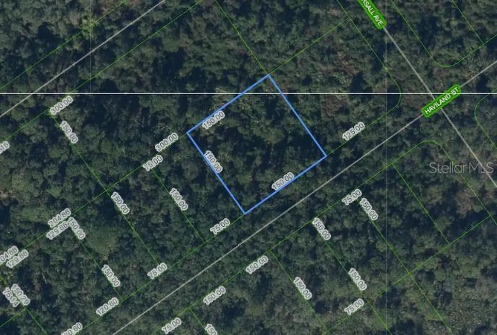 1210 Haviland Street Lake Placid FL 33852